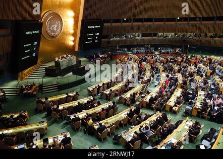 (171221) -- NAZIONI UNITE, 21 dicembre 2017 -- foto scattata il 21 dicembre 2017 mostra la visione generale di una rara sessione speciale di emergenza dell'Assemblea generale delle Nazioni Unite presso la sede delle Nazioni Unite a New york. Giovedì l'Assemblea generale ha adottato una risoluzione sullo status di Gerusalemme che farà sì che la decisione del presidente degli Stati Uniti Donald Trump di riconoscere Gerusalemme come capitale israeliana non abbia alcun effetto giuridico. ASSEMBLEA GENERALE ONU-RISOLUZIONE-STATUS OF JERUSALEM-ADOPTION WANGXYING PUBLICATIONXNOTXINXCHN Foto Stock