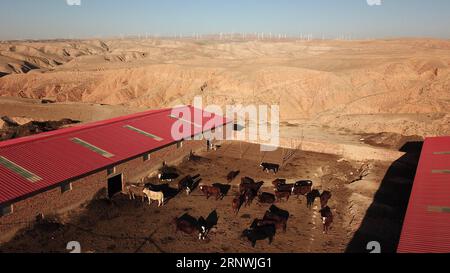 (171222) -- WUZHONG, 22 dicembre 2017 -- foto scattata il 21 dicembre 2017 mostra un allevamento di bestiame presso Hantianling Village of Hexi Township, Wuzhong City, Ningxia Hui Autonomous Region. Il pozzo era una fonte di acqua potabile per gli abitanti di Hantianling, che ora sono stati trasferiti in altri luoghi più vivibili. Hantianling, che significa montagna della siccità in cinese, si trova nella regione montuosa più remota di Ningxia. L'evaporazione annuale qui è superiore a 2.000 mm, mentre le precipitazioni annuali sono solo di circa 200 mm. La siccità è sempre stata la più grande minaccia per la popolazione locale. Lì Foto Stock