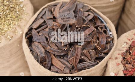Marrakech, Marocco - 8 febbraio 2023: Baccelli di carrubo essiccati. Museo delle arti culinarie marocchine Foto Stock