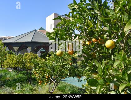 Marrakech, Marocco - 21 febbraio 2023: Le Jardin Secret (il giardino segreto), nella vecchia medina di Marrakech Foto Stock