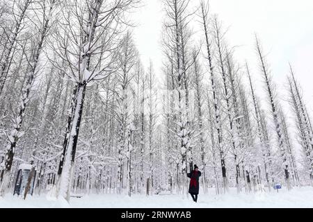 (180105) -- HUAINAN, 5 gennaio 2018 -- Un turista visita il parco innevato di Longhu nella città di Huainan, provincia di Anhui nella Cina orientale, 5 gennaio 2018, in occasione di Xiaohan (piccolo freddo), il 23° dei 24 termini solari. ) (Gxn) CINA-NEVICATE (CN) ChenxBin PUBLICATIONxNOTxINxCHN Foto Stock