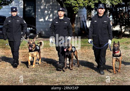 (180114) -- SHANGHAI, 14 gennaio 2018 -- i Policedogs e i loro gestori si preparano per l'addestramento nella Shanghai orientale della Cina, 14 gennaio 2018. La decima divisione dello squadrone investigativo criminale dell'Ufficio di sicurezza pubblica di Shanghai ha più di 100 poliziotti. I cani dovevano mantenere l'allenamento quotidiano anche in inverno freddo per mantenere la loro memoria e altre abilità. ) (Qxy) CHINA-SHANGHAI-POLICEDOG TRAINING (CN) FanxJun PUBLICATIONxNOTxINxCHN Foto Stock