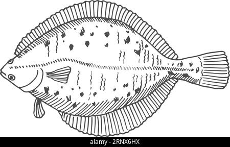 Schizzo del passante. Incisione a mano di pesci di mare Illustrazione Vettoriale