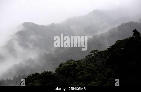 (180115) -- HAIKOU, 15 gennaio 2018 -- foto scattata l'11 gennaio 2018 mostra le foreste pluviali della riserva naturale nazionale di Jianfengling nella provincia di Hainan nel sud della Cina. ) (wyo) RISERVA NATURALE CINA-HAINAN (CN) JiangxEnyu PUBLICATIONxNOTxINxCHN Foto Stock