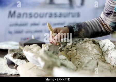 (180207) -- MANSOURA (EGITTO), 7 febbraio 2018 -- Un ricercatore del centro per la Paleontologia dei vertebrati dell'Università di Mansoura (MUVP) lavora sui fossili rocciosi di Mansourasaurus a Mansoura, Egitto, il 6 febbraio 2018. La scoperta egiziana di resti di un antico dinosauro nel suo deserto occidentale rivela un legame tra l'Africa e l'Europa nel Cretaceo superiore circa 80 milioni di anni fa, gli esperti hanno detto mercoledì. ) EGYPT-MANSOURA-DINOSAURO DISCOVERY AhmedxGomaa PUBLICATIONxNOTxINxCHN Foto Stock