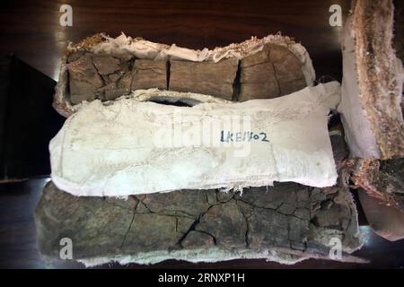 (180207) -- MANSOURA (EGITTO), 7 febbraio 2018 -- foto scattata il 6 febbraio 2018 mostra fossili rocciosi di Mansourasaurus scoperti da un team di ricercatori egiziani del centro di Paleontologia dei vertebrati dell'Università di Mansoura (MUVP) a Mansoura, Egitto. La scoperta egiziana di resti di un antico dinosauro nel suo deserto occidentale rivela un legame tra l'Africa e l'Europa nel Cretaceo superiore circa 80 milioni di anni fa, gli esperti hanno detto mercoledì. ) EGYPT-MANSOURA-DINOSAURO DISCOVERY AhmedxGomaa PUBLICATIONxNOTxINxCHN Foto Stock