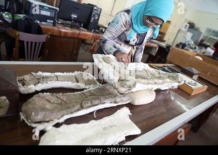 (180207) -- MANSOURA (EGITTO), 7 febbraio 2018 -- Un ricercatore del centro per la Paleontologia dei vertebrati dell'Università di Mansoura (MUVP) lavora sui fossili rocciosi di Mansourasaurus a Mansoura, Egitto, il 6 febbraio 2018. La scoperta egiziana di resti di un antico dinosauro nel suo deserto occidentale rivela un legame tra l'Africa e l'Europa nel Cretaceo superiore circa 80 milioni di anni fa, gli esperti hanno detto mercoledì. ) EGYPT-MANSOURA-DINOSAURO DISCOVERY AhmedxGomaa PUBLICATIONxNOTxINxCHN Foto Stock
