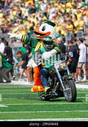 Autzen Stadium, Eugene, OR, USA. 2 settembre 2023. L'Oregon Duck fa un giro sul campo prima della partita di football NCAA tra i Portland State Vikings e la University of Oregon Ducks all'Autzen Stadium, Eugene, OREGON. Larry C. Lawson/CSM/Alamy Live News Foto Stock