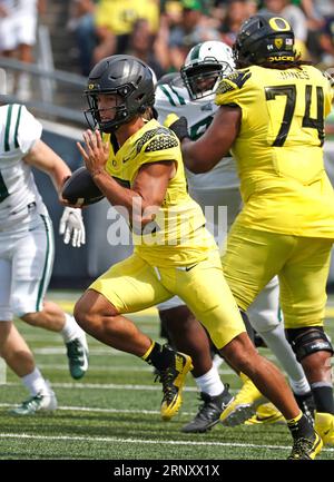 Autzen Stadium, Eugene, OR, USA. 2 settembre 2023. Il quarterback degli Oregon Ducks Ty Thompson (13) gioca come titolare e corre per lo yardage durante la partita di football NCAA tra i Portland State Vikings e la University of Oregon Ducks all'Autzen Stadium, Eugene, OREGON. Larry C. Lawson/CSM (immagine di credito: © Larry C. Lawson/Cal Sport Media). Credito: csm/Alamy Live News Foto Stock