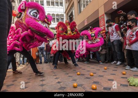 (180216) -- CALCUTTA, 16 febbraio 2018 -- la gente esegue la danza del leone durante la celebrazione del Capodanno lunare cinese a Calcutta, in India, il 16 febbraio 2018. ) (Zjy) INDIA-KOLKATA-CHINESE LUNAR CAPODANNO-CELEBRAZIONE TumpaxMondal PUBLICATIONxNOTxINxCHN Foto Stock