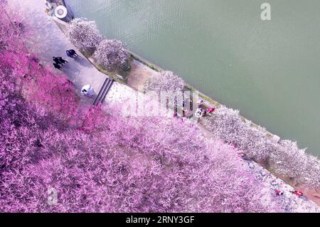 (180225) -- PECHINO, 25 febbraio 2018 -- i turisti vedono i fiori di prugna nell'Università Jishou di Jishou, provincia di Hunan, Cina centrale, 23 febbraio 2018. Gli alberi di prugna entrarono nella stagione della fioritura, attirando numerosi turisti). PengxBiao PUBLICATIONxNOTxINxCHN Foto Stock