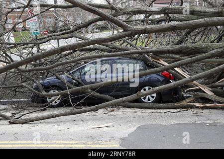 (180302) -- WASHINGTON, 2 marzo 2018 -- Un albero abbattuto da forti venti blocca parte di Woodley Road NW a Washington D.C., negli Stati Uniti, il 2 marzo 2018. Venti forti, pioggia intensa, ondate di ondate e neve sporadica stanno devastando la costa orientale degli Stati Uniti venerdì, lasciando già migliaia di voli cancellati, energia elettrica distrutta in parte di Washington D.C. e oltre 22 milioni di residenti sotto un allarme di inondazione costiera. ) U.S.-WASHINGTON D.C.-TEMPESTA DI VENTO LixMuzi PUBLICATIONxNOTxINxCHN Foto Stock