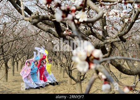 (180324) -- XINGTAI, 24 marzo 2018 -- la gente posa durante uno spettacolo in un campo di albicocche per godersi il paesaggio primaverile nel villaggio di Xihanzhuang della cittadina di Julu nella contea di Julu, nella provincia di Hebei nella Cina settentrionale, 24 marzo 2018. ) (dhf) CHINA-HEBEI-SPRING-BLOSSOMS (CN) MuxYu PUBLICATIONxNOTxINxCHN Foto Stock