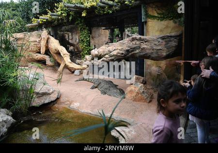 (180326) -- VALENCIA, 26 marzo 2018 -- i visitatori guardano un coccodrillo allo zoo bioparc di Valencia, Spagna, 25 marzo 2018. )(jmmn) SPAIN-VALENCIA-BIOPARC ZOO GuoxQiuda PUBLICATIONxNOTxINxCHN Foto Stock