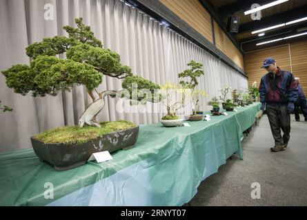 (180401) -- VANCOUVER, 1 aprile 2018 -- le persone visitano la Spring Bonsai and Flower Exhibition a Vancouver, Canada, 1 aprile 2018. Gli artisti locali del Bonsai hanno esposto circa 100 opere di bonsai all'annuale Mostra di primavera del Bonsai e dei fiori, un evento di due giorni che ha attirato gli appassionati di bonsai a visitare le opere del bonsai e a scambiare le loro abilità. ) CANADA-VANCOUVER-BONSAI E MOSTRA DI FIORI LIANGXSEN PUBLICATIONXNOTXINXCHN Foto Stock