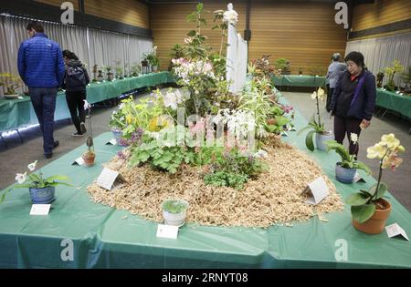 (180401) -- VANCOUVER, 1 aprile 2018 -- le persone visitano la Spring Bonsai and Flower Exhibition a Vancouver, Canada, 1 aprile 2018. Gli artisti locali del Bonsai hanno esposto circa 100 opere di bonsai all'annuale Mostra di primavera del Bonsai e dei fiori, un evento di due giorni che ha attirato gli appassionati di bonsai a visitare le opere del bonsai e a scambiare le loro abilità. ) CANADA-VANCOUVER-BONSAI E MOSTRA DI FIORI LIANGXSEN PUBLICATIONXNOTXINXCHN Foto Stock