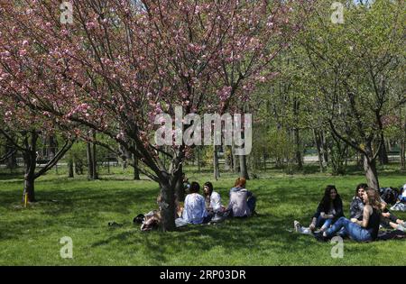 (180415) -- BUCAREST, 15 aprile 2018 -- la gente si gode la fioritura dei ciliegi al Parco Herastrau di Bucarest, Romania, il 15 aprile 2018. ) ROMANIA-BUCAREST-FIORITURA DEI CILIEGI GabrielxPetrescu PUBLICATIONxNOTxINxCHN Foto Stock