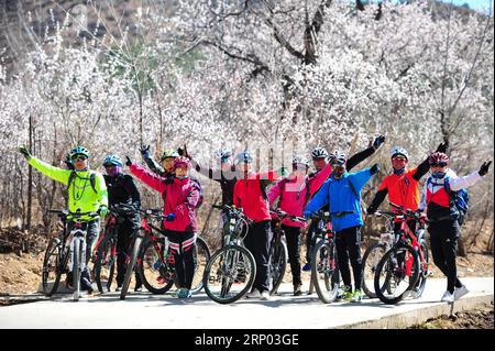 (180416) -- HOHHOT, 16 aprile 2018 -- i ciclisti posano per una foto di gruppo davanti ai fiori di albicocca a Hohhot, capitale della regione autonoma della Mongolia interna della Cina settentrionale, 16 aprile 2018. ) (Ry) CINA-INTERNO MONGOLIA-PAESAGGIO PRIMAVERILE (CN) PengxYuan PUBLICATIONxNOTxINxCHN Foto Stock