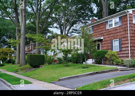 Strada residenziale suburbana con alberi alti e case rivestite di cedro Foto Stock