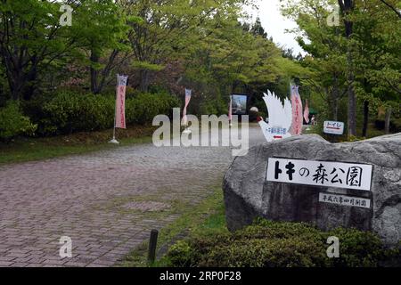 (180511) -- SADO ISLAND, 11 maggio 2018 -- il crestato ibis Park è stato visto sull'isola di Sado nella prefettura di Niigata, Giappone, 3 maggio 2018. Gli ibi crestati, un uccello iconico che era sull'orlo dell'estinzione in Giappone negli anni '1980, stanno ora prosperando e stanno dando impulso all'economia locale dell'isola di Sado, grazie all'aiuto della Cina. (gj) JAPAN-SADO ISLAND-CRESTED IBISES-FEATURE MaxPing PUBLICATIONxNOTxINxCHN Foto Stock