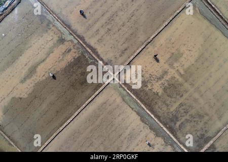 (180514) -- XINGTAI, 14 maggio 2018 -- foto aerea scattata il 14 maggio 2018 mostra gli agricoltori che piantano radici di loto nel villaggio Zepan della contea di Longyao, nella provincia di Hebei nella Cina settentrionale. ) (Ry) CHINA-HEBEI-FARM WORK (CN) MuxYu PUBLICATIONxNOTxINxCHN Foto Stock