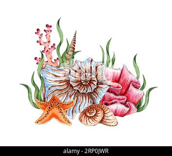Illustrazioni ad acquerello di conchiglie, coralli, alghe e stelle marine. Clipart marino tropicale. Composizione per la progettazione di souvenir, cartoline, manifesti, Foto Stock