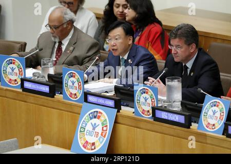 (180604) -- NAZIONI UNITE, 4 giugno 2018 -- Ren Minghui (C, Front), vicedirettore generale per le malattie trasmissibili, Organizzazione mondiale della sanità (OMS), si rivolge a un'audizione della società civile sulla tubercolosi presso la sede delle Nazioni Unite a New York, il 4 giugno 2018. L'audizione di lunedì si è tenuta in preparazione del primo incontro di alto livello sulla lotta contro la TBC fissato per il 26 settembre. I capi di Stato si riuniranno all'Assemblea generale delle Nazioni Unite per l'evento. ) SOCIETÀ CIVILE delle Nazioni Unite UDITO-TUBERCOLOSI LixMuzi PUBLICATIONxNOTxINxCHN Foto Stock