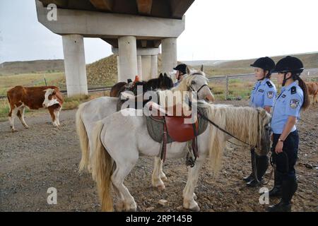 (180608) -- XILINHOT, 8 giugno 2018 -- la polizia a cavallo fa posto al bestiame mentre pattuglia lungo la ferrovia a Xilinhot, nella regione autonoma della Mongolia interna della Cina settentrionale, 7 giugno 2018. Al fine di mantenere le ferrovie in funzione, la polizia a cavallo a Xilinhot è impegnata a riparare la rete di sicurezza rotta e a controllare l'intrusione del bestiame mentre pattuglia lungo le ferrovie. ) (Wyl) CHINA-INNER MONGOLIA-RAILROAD-MOUNTED POLICE (CN) ZouxYu PUBLICATIONxNOTxINxCHN Foto Stock