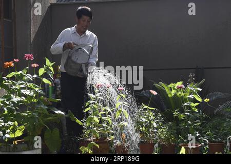 (180616) -- NINGBO, 16 giugno 2018 -- Villager Zhang Guoqing Waters fiori nella sua locanda nel villaggio Sanshan del distretto di Beilun a Ningbo, nella provincia di Zhejiang nella Cina orientale, 14 giugno 2018. Trasformata da villaggio di pescatori, Beilun sta diventando un'area urbana costiera con industria portuale. Ningbo Economic and Technological Development zone, Ningbo Free Trade zone, Ningbo Daxie Development zone, Ningbo Export Processing zone e Ningbo Meishan Bonded area si trovano a Beilun. Il trasporto merci del porto di Ningbo Zhoushan, con il porto di Beilun come centro, si è classificato il primo in un ininterrotto arco di nove anni Foto Stock