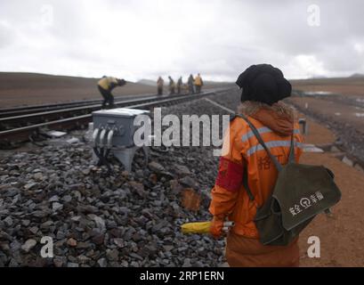 (180701) -- GOLMUD, 1° luglio 2018 -- i lavoratori rafforzano i binari vicino alla stazione Tanggula della ferrovia Qinghai-Tibet, provincia del Qinghai della Cina nord-occidentale, 30 giugno 2018. Gli addetti alla manutenzione si attengono ogni giorno ai loro posti per garantire il funzionamento della ferrovia Qinghai-Tibet presso la stazione di Tanggula a un'altitudine di 5.072 metri sul livello del mare. La ferrovia lunga 1.956 chilometri, che ha iniziato il servizio nel luglio 2006, è la ferrovia di altopiano più alta del mondo che collega Xining nel Qinghai e Lhasa nella regione autonoma del Tibet. (MP) CHINA-QINGHAI-TIBET-RAILWAY-MAINTENANCE (CN) ZHANGXHONGXIANG PUBLICATI Foto Stock