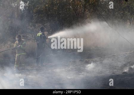 (180718) - NAHAL OZ, 18 luglio 2018 - i vigili del fuoco israeliani tentano di spegnere un incendio in un campo forestale vicino al Kibbutz di Nahal Oz, vicino alla barriera tra Israele e la Striscia di Gaza, il 17 luglio 2018. L'incendio è stato causato da materiale infiammabile attaccato a un pallone lanciato da manifestanti palestinesi dall'interno della Striscia di Gaza. (Qxy) MIDEAST-NAHAL OZ-FIRE GilxCohenxMagen PUBLICATIONxNOTxINxCHN Foto Stock