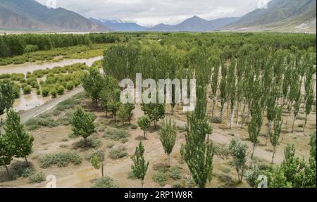 (180725) -- SHANNAN, 25 luglio 2018 -- foto aerea scattata il 23 luglio 2018 mostra una foresta protetta nel distretto di Naidong della città di Shannan, nella regione autonoma del Tibet della Cina sud-occidentale. Per anni, il governo locale ha adottato misure efficaci nella lotta contro la desertificazione. ) (Hxy) CHINA-TIBET-SHANNAN-DESERT CONTROL (CN) LiuxDongjun PUBLICATIONxNOTxINxCHN Foto Stock