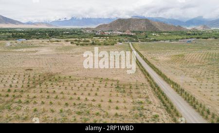 (180725) -- SHANNAN, 25 luglio 2018 -- foto aerea scattata il 23 luglio 2018 mostra un'area di rimboschimento nella contea di Zhanang della città di Shannan, nella regione autonoma del Tibet della Cina sud-occidentale. Per anni, il governo locale ha adottato misure efficaci nella lotta contro la desertificazione. ) (Hxy) CHINA-TIBET-SHANNAN-DESERT CONTROL (CN) LiuxDongjun PUBLICATIONxNOTxINxCHN Foto Stock