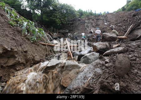 (180804) -- PROVINCIA DI LAI CHAU, 4 agosto 2018 -- foto scattata il 4 agosto 2018 mostra il sito della frana nella provincia di Lai Chau, Vietnam. Le frane causate dalle forti piogge di venerdì nella provincia settentrionale di Lai Chau del Vietnam hanno ucciso sei persone, ne hanno lasciate altre sei dispersi, secondo l'agenzia di stampa del Vietnam (). Le frane hanno anche ferito tre persone. ) VIETNAM-LAI PROVINCIA DI CHAU-FRANA VNA PUBLICATIONXNOTXINXCHN Foto Stock