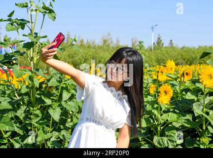 (180809) -- BAYANNUR, 9 agosto 2018 -- Un turista scatta un selfie con i girasoli nella contea di Wuyuan a Bayannur, nella regione autonoma della Mongolia interna della Cina settentrionale, 9 agosto 2018. Il girasole è il principale raccolto economico della contea di Wuyuan e il paesaggio del campo di girasole attrae molti turisti. (Zyd) CINA-MONGOLIA-BAYANNUR-TURISMO (CN) PengxYuan PUBLICATIONxNOTxINxCHN Foto Stock