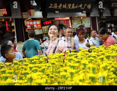 (180811) -- SHANGHAI, 11 agosto 2018 (Xinhua) -- Una scena del campo di fiori di Luoping cole è vista alla mostra d'arte popolare dello Yunnan al giardino Yuyuan nella Shanghai orientale della Cina, 10 agosto 2018. La mostra è iniziata qui il venerdì e mostra danze popolari, artwares locali e paesaggi dalla città di Qujing, nella provincia dello Yunnan. (Xinhua/Liu Ying)(gxn) CHINA-SHANGHAI-YUNNAN-FOLR ART EXHIBITION (CN) PUBLICATIONxNOTxINxCHN Foto Stock