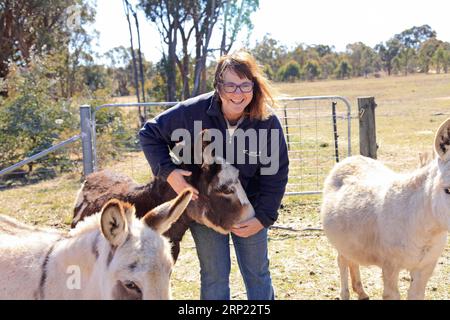 (180813) -- CANBERRA, 13 agosto 2018 -- Joan Young saluta un piccolo asino alla fattoria Joy miniature Donkeys nella Belmount Forest, a meno di 60 km da Canberra, Australia, 11 agosto 2018. ANDARE CON la caratteristica: Aussie Woman 's Farm Dream in Asinelli's years. ) (lrz) AUSTRALIA-CANBERRA-FARM-DONKEY PanxXiangyue PUBLICATIONxNOTxINxCHN Foto Stock