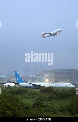 (180817) -- MANILA, 17 agosto 2018 -- Un aereo Xiamen Airlines Boeing 737-800 è visto nell'area di sicurezza erba dopo aver sterzato all'atterraggio all'aeroporto internazionale Ninoy Aquino (NAIA) di Paranaque City, Filippine, 17 agosto 2018. Un aereo passeggeri della Xiamen Airlines di Cina è sceso dalla pista e si è portato sull'erba quando è atterrato all'aeroporto internazionale di Manila venerdì presto. ) FILIPPINE-MANILA-XIAMEN AEREO-INCIDENTE ROUELLExUMALI PUBLICATIONxNOTxINxCHN Foto Stock