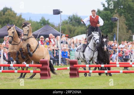 31 agosto 2023 i cavalli Atkinson attirano la folla allo spettacolo della contea di Bucks Foto Stock