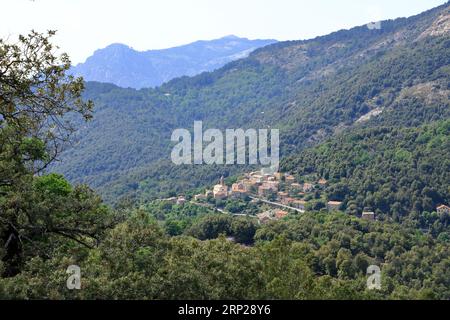 EVisa - piccolo e pittoresco villaggio di montagna tra splendide montagne dell'isola della Corsica in Francia Foto Stock