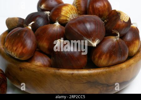 Castagne stagionali raccolte dal campo su sfondo bianco Foto Stock