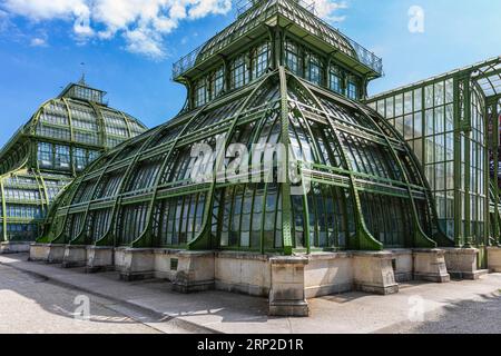 Palm House a Schoenbrunn Palace Park, Vienna, Austria Foto Stock