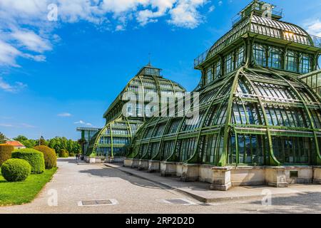 Palm House a Schoenbrunn Palace Park, Vienna, Austria Foto Stock