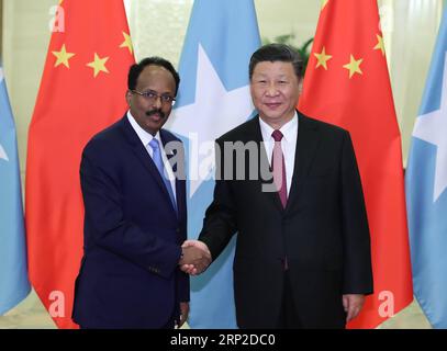 (180831) -- PECHINO, 31 agosto 2018 -- il presidente cinese Xi Jinping (R) incontra il presidente somalo Mohamed Abdullahi Mohamed nella grande sala del popolo di Pechino, capitale della Cina, 31 agosto 2018. ) (mp) CHINA-BEIJING-XI JINPING-SOMALIA-PRESIDENT-MEETING (CN) DingxLin PUBLICATIONxNOTxINxCHN Foto Stock