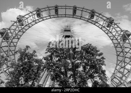 La ruota panoramica gigante di Vienna di fronte ai castagni fioriti (Castanea), fotografia in bianco e nero, Prater, Vienna, Austria Foto Stock