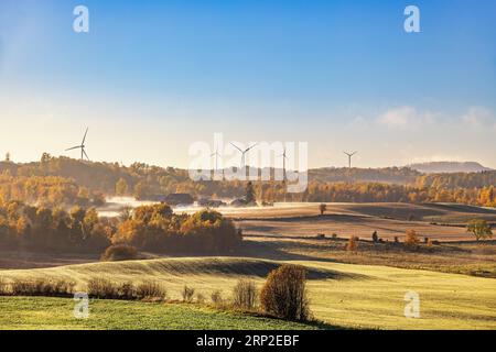 Vista panoramica con nebbia autunnale nei campi e nelle fattorie e nelle turbine eoliche all'orizzonte, Svezia Foto Stock