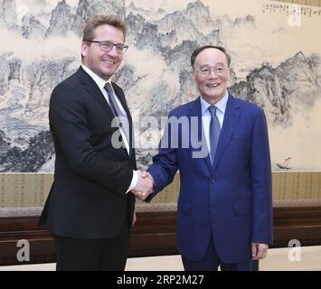 (180906) -- PECHINO, 6 settembre 2018 -- il vicepresidente cinese Wang Qishan (R) incontra il ministro degli Esteri islandese Gudlaugur Thor Thordarson a Pechino, capitale della Cina, 6 settembre 2018. ) (ly) RIUNIONE FM CINA-PECHINO-WANG QISHAN-ISLANDA (CN) YaoxDawei PUBLICATIONxNOTxINxCHN Foto Stock