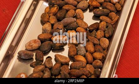 Fagioli di cioccolato su vassoio d'argento, dettaglio, museo del cioccolato, Modica, città barocca, angolo barocco, sud-est, Sicilia, Italia Foto Stock