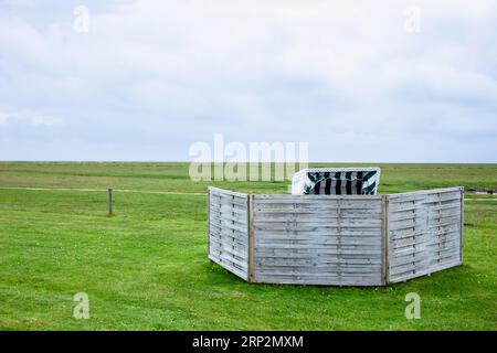 Sdraio in un prato sul Mare di Wadden con frangivento di fronte, Hallig Langeness, Schleswig-Holstein, Germania Foto Stock