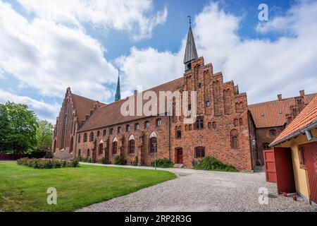 St Mary Church ex Priorato Carmelitano - Helsingor, Danimarca Foto Stock